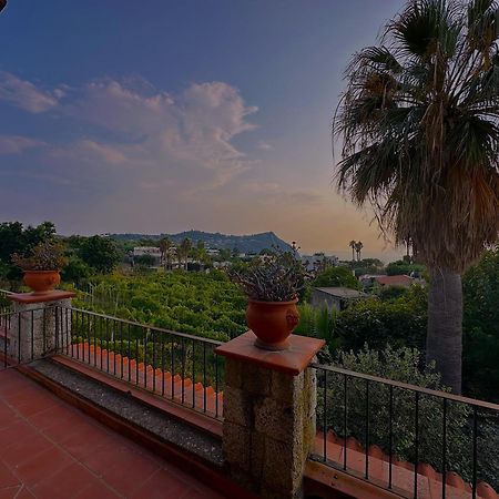 Hotel Il Vitigno Di Dioniso Forio di Ischia Zewnętrze zdjęcie