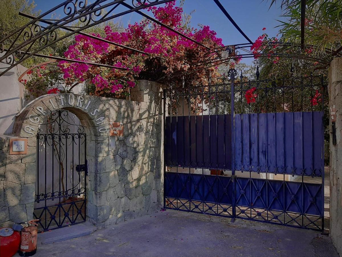 Hotel Il Vitigno Di Dioniso Forio di Ischia Zewnętrze zdjęcie