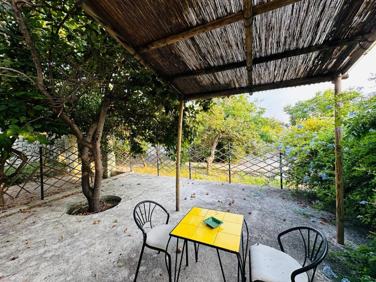 Hotel Il Vitigno Di Dioniso Forio di Ischia Zewnętrze zdjęcie