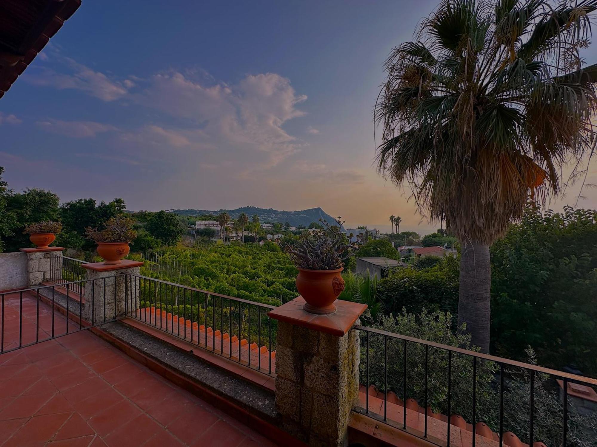 Hotel Il Vitigno Di Dioniso Forio di Ischia Zewnętrze zdjęcie
